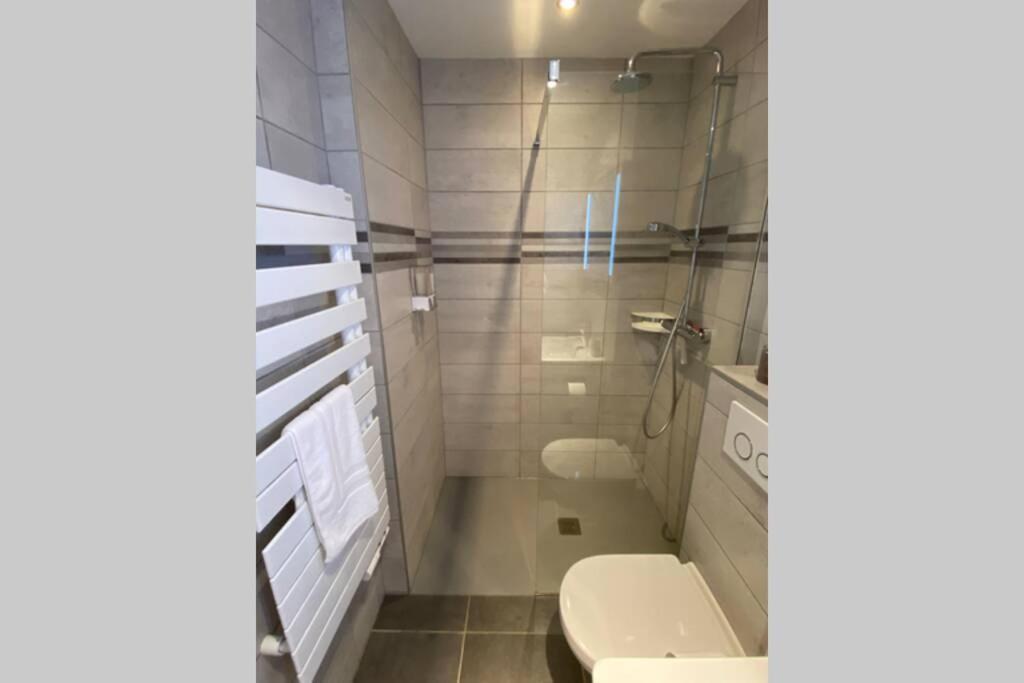 Le Continental Beau T2 Plein Centre + Parking Apartman Annecy Kültér fotó