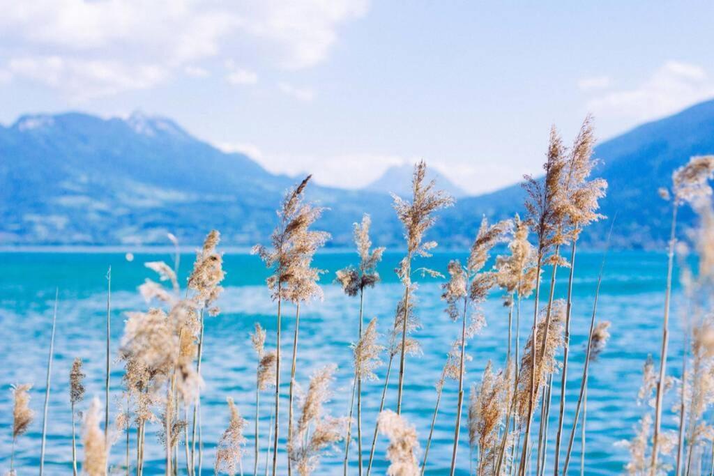 Le Continental Beau T2 Plein Centre + Parking Apartman Annecy Kültér fotó