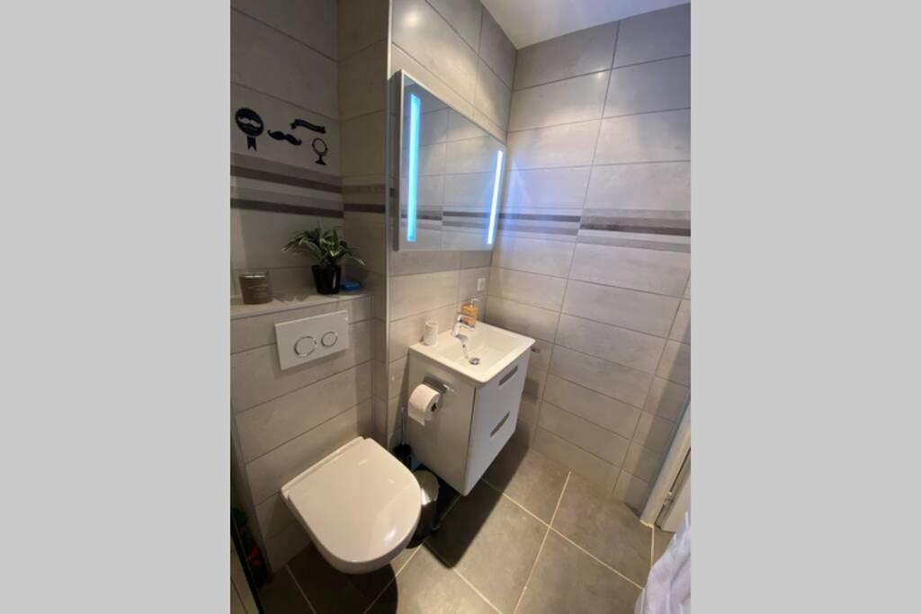 Le Continental Beau T2 Plein Centre + Parking Apartman Annecy Kültér fotó