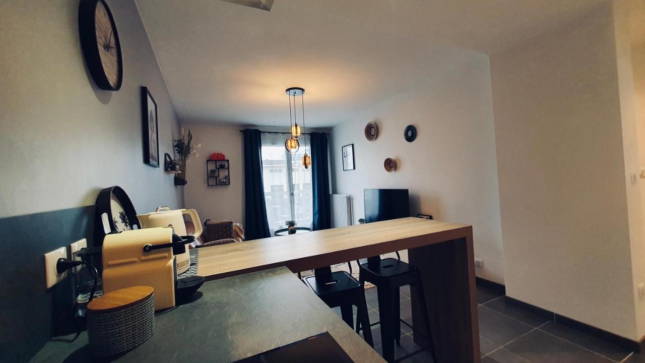 Le Continental Beau T2 Plein Centre + Parking Apartman Annecy Kültér fotó